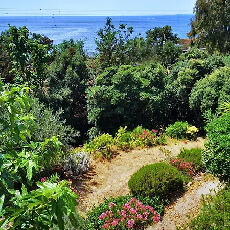 Apartment Du Paradis Saint-Raphaël